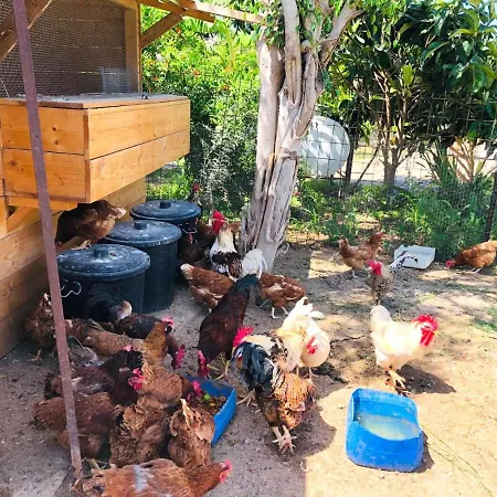 The Nitovikla Eco-agro Boutique & Pool & Cave Restaurant & Wine House An Authentic Cypriot Experience! Pensjonat Rizokarpaso