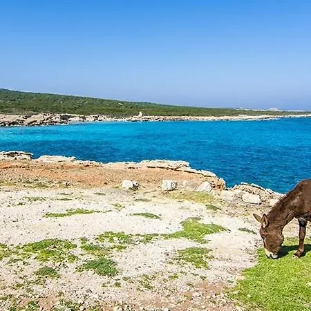 Pensjonat The Nitovikla Eco-agro Boutique & Pool & Cave Restaurant & Wine House An Authentic Cypriot Experience!