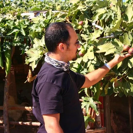 The Nitovikla Eco-agro Boutique & Pool & Cave Restaurant & Wine House An Authentic Cypriot Experience!