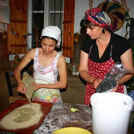 Vendégház The Nitovikla Eco-agro Boutique & Pool & Cave Restaurant & Wine House An Authentic Cypriot Experience! Rizokarpaso